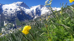 La Meije La Grave